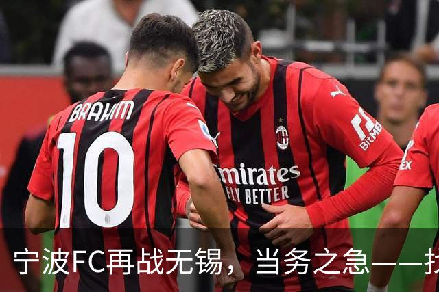 宁波FC再战无锡，当务之急——找到外援托莫维奇的使用说明书